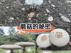 -巡塘古镇
