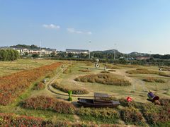 -苏州太湖西山岛开心农场