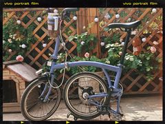 -隹木咖啡馆(宝龙广场店)