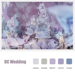 -DC大蔡婚礼策划(李公堤店)