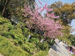 -狼山风景名胜区