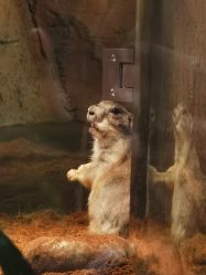 -Zoolung Zoolung动物主题公园(海信广场店)