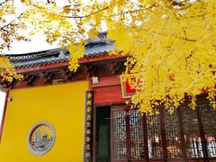 -上海青龙寺