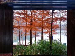 -昆山城市生态森林公园