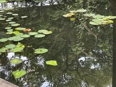 -广州兰圃