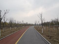 -天津东丽湖风景区