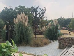 -田园东方蜜桃村的田野营地