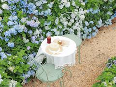 -自由生长植物工作室(深港花卉中心店)