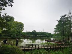 -八卦田遗址公园