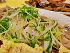 -鸿达渔港