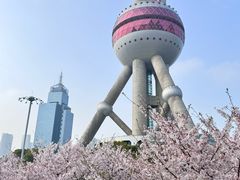 -东方明珠广播电视塔