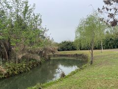 -眉山湿地公园(东坡区)