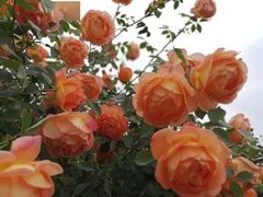 -白沙门生态公园