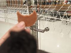 -成都冰纷万象滑冰场