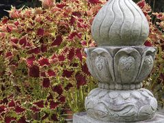 -国恩寺