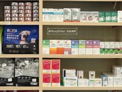 -博特宠物医院24h犬猫全科.骨科·异宠