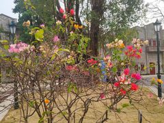 -赤坎·广东华侨国际旅游度假区