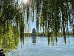 -济南大明湖景区