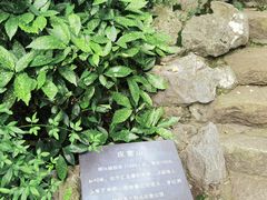 -汇龙潭
