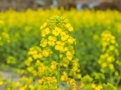 -白沙门生态公园