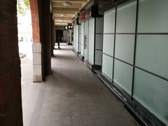 -江湾体育中心游泳馆