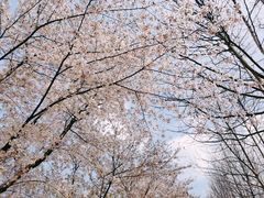 -砂之船奥莱(南京江宁店)