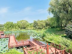 -沈阳森林动物园