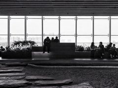 -Seesaw Coffee(朝阳大悦城店)