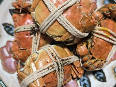 -阳澄湖大闸蟹·琼灵阁牌品牌连锁(吴中总店)