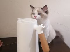 -猫友咖啡店(玉林西路店)