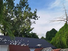 -J Create城市露营咖啡·简餐·宠物(上海动物园店)