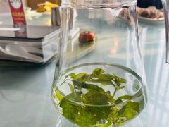 薄荷茶-孙家羊肉馆(庄良公路店)