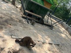 -青藏高原野生动物园