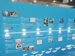 -上海海洋水族馆