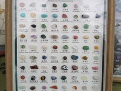 -上海鲜花港