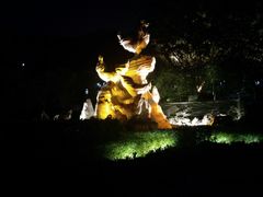 -金鸡山公园