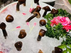 -禄婶鸡煲·打边炉