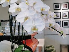 大堂-Peet's Coffee皮爷咖啡(上海长风大悦城店)