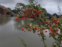 -韩湘水博园