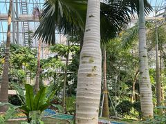 -南山植物园