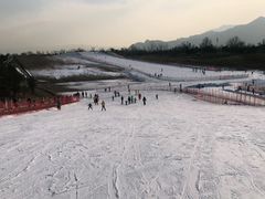 -华彬猛犸滑雪场