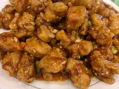 -林之六八·6886大连老菜馆