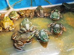 -阿湾楼·温州海鲜·江浙菜(京江路店)