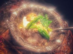 -地球美食剧场