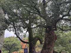 -上坦村