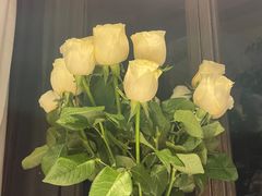 -春暖花开(西溪店)