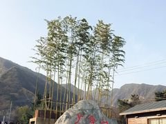 -少华山国家森林公园