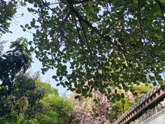 -深圳国际园林花卉博览园