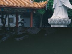 -福道