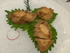 -圆苑(静安寺店)